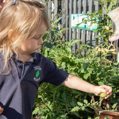 Herb garden